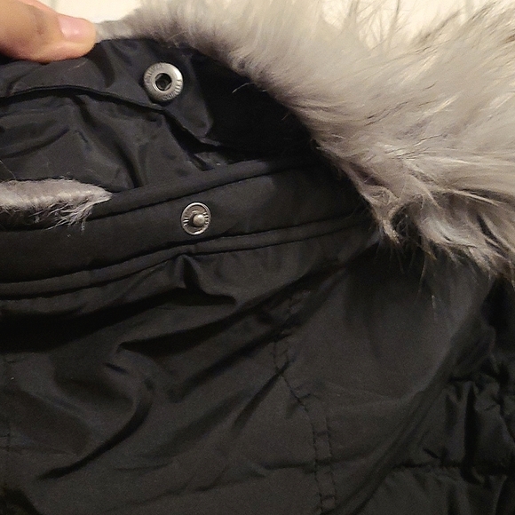 Hollister Puffer Jacket - Picture 5 of 5